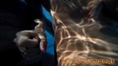 handjob-in-the-pool-sodomy-and-ejaculation-in-water